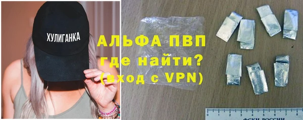 стафф Арсеньев