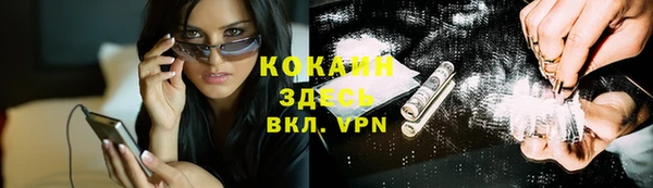 стафф Арсеньев
