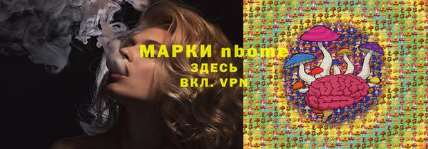 стафф Арсеньев