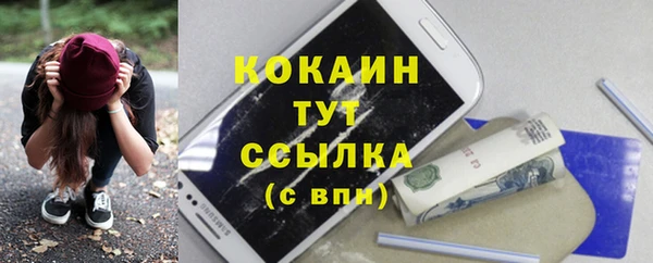 стафф Арсеньев